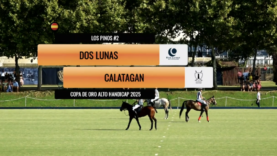 Captura de pantalla 2025-08-23 a las 8.00.05 p. m.